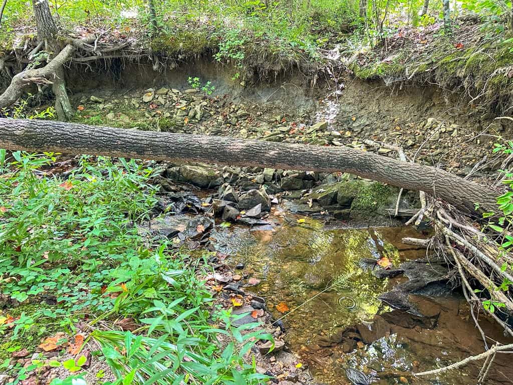 Legacy Investment & Trophy Hunting Estate | 105 Acres | Lunenburg County VA