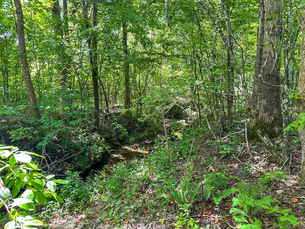 Legacy Investment & Trophy Hunting Estate | 105 Acres | Lunenburg County VA