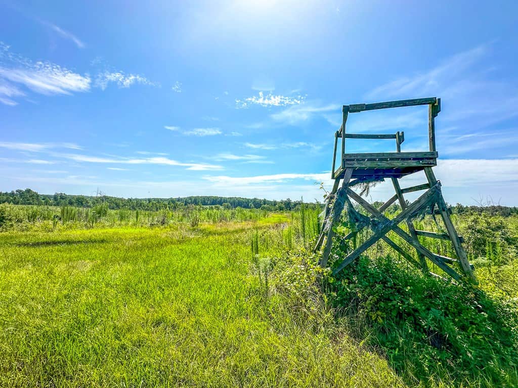 Legacy Investment & Trophy Hunting Estate | 105 Acres | Lunenburg County VA