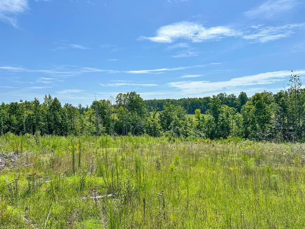 Legacy Investment & Trophy Hunting Estate | 105 Acres | Lunenburg County VA