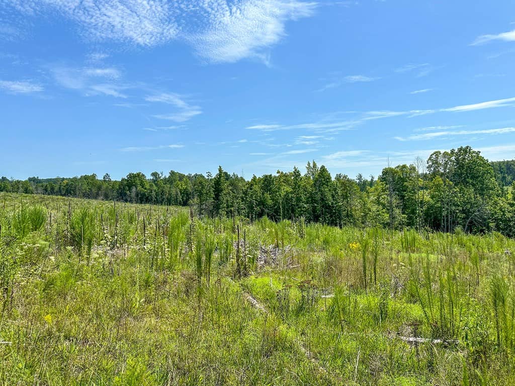 Legacy Investment & Trophy Hunting Estate | 105 Acres | Lunenburg County VA