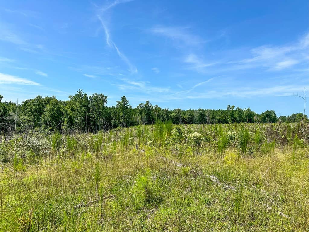 Legacy Investment & Trophy Hunting Estate | 105 Acres | Lunenburg County VA