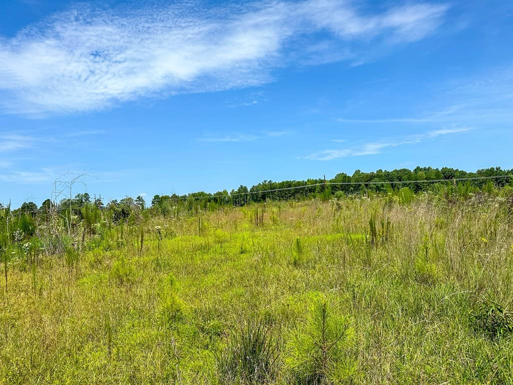 Legacy Investment & Trophy Hunting Estate | 105 Acres | Lunenburg County VA