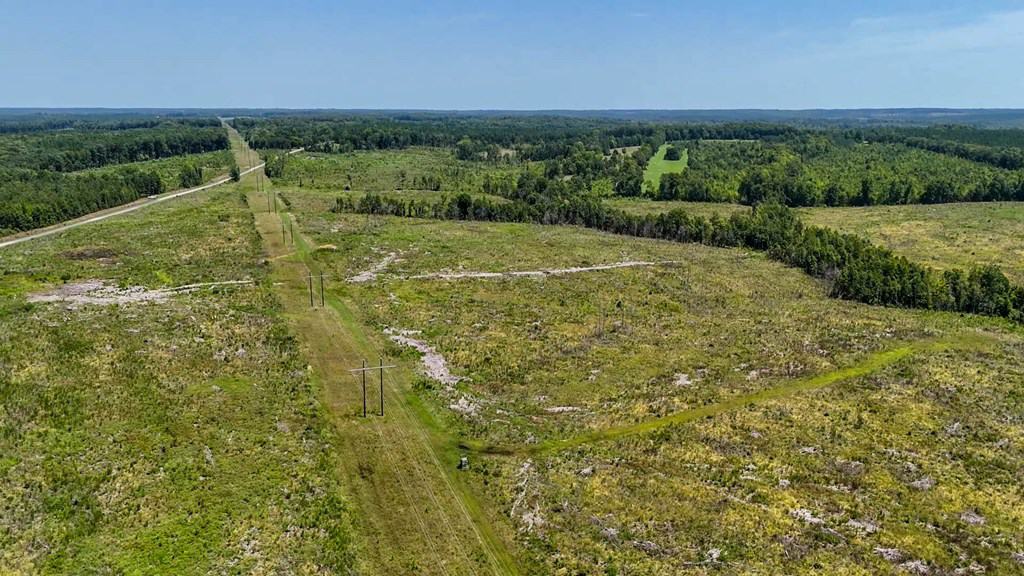 Legacy Investment & Trophy Hunting Estate | 105 Acres | Lunenburg County VA