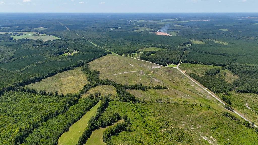 Legacy Investment & Trophy Hunting Estate | 105 Acres | Lunenburg County VA