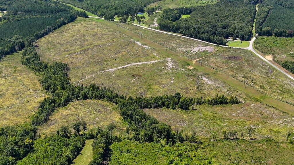 Legacy Investment & Trophy Hunting Estate | 105 Acres | Lunenburg County VA