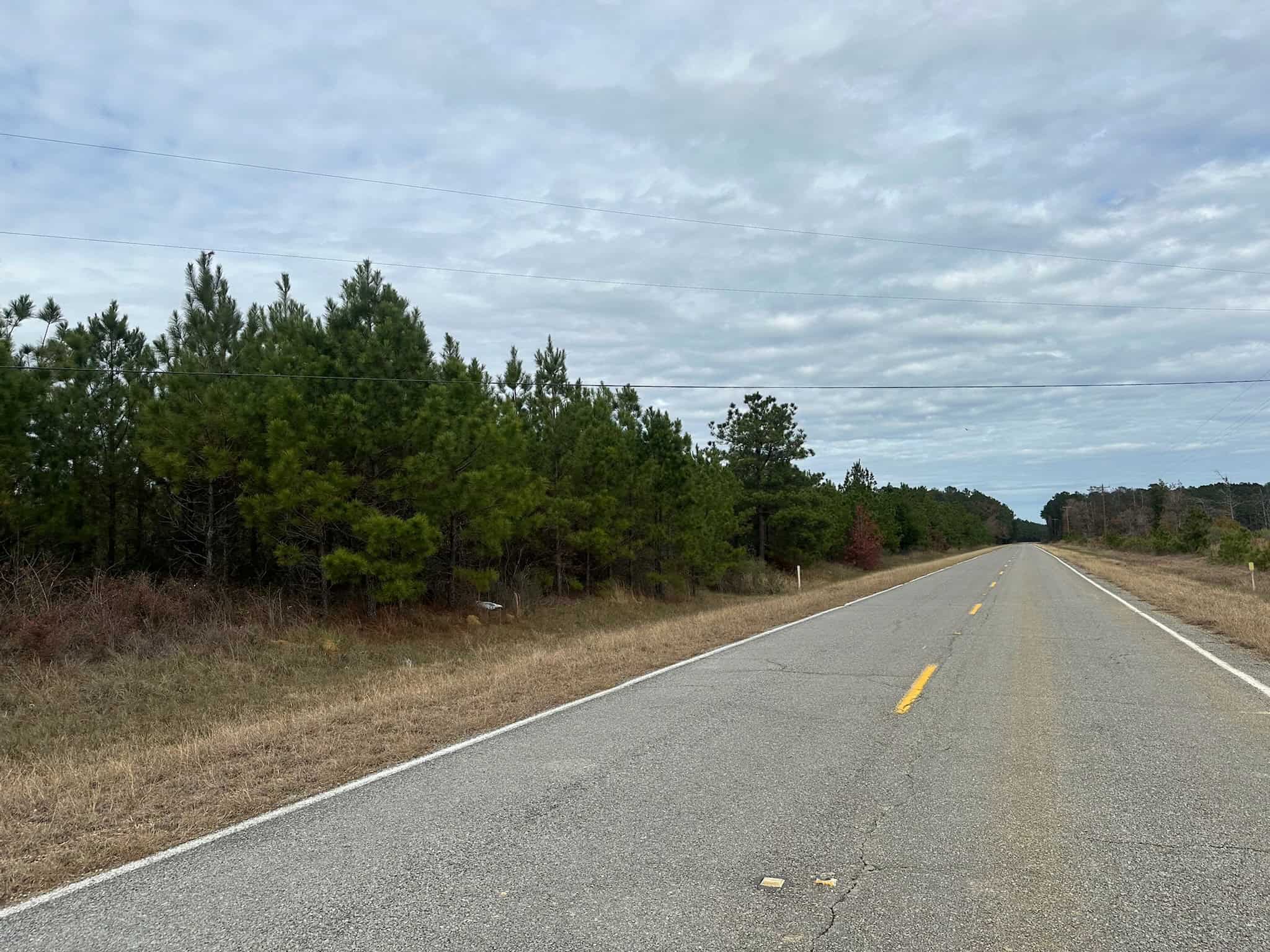 17+/- Acre Homesite and Hunting Property for Sale in Lasalle