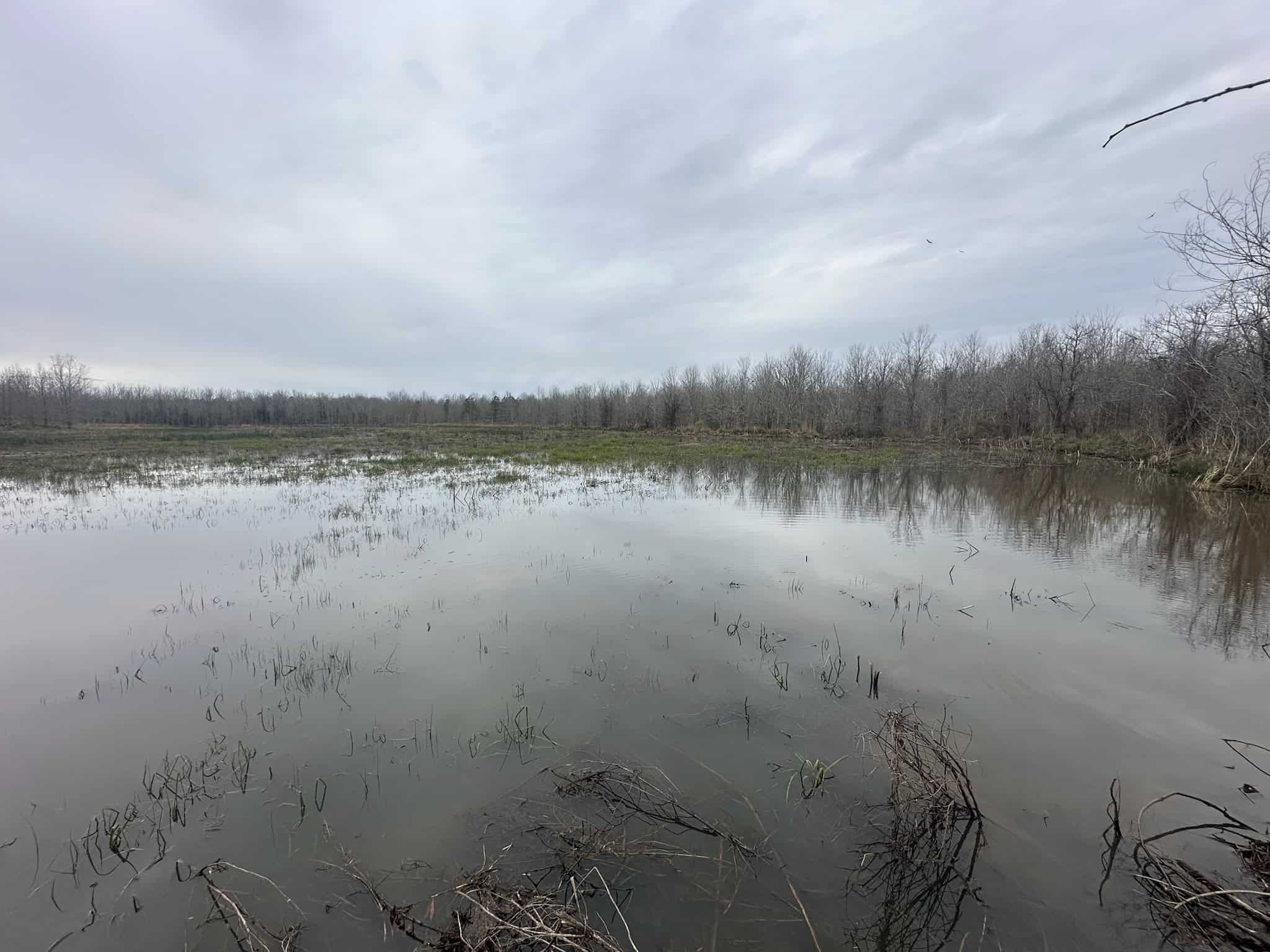 Duck and Deer Hunting Land with a Camp Spot for Sale