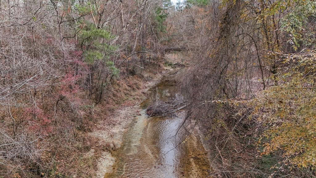 8+- Acres for Sale Just Outside of Brookhaven