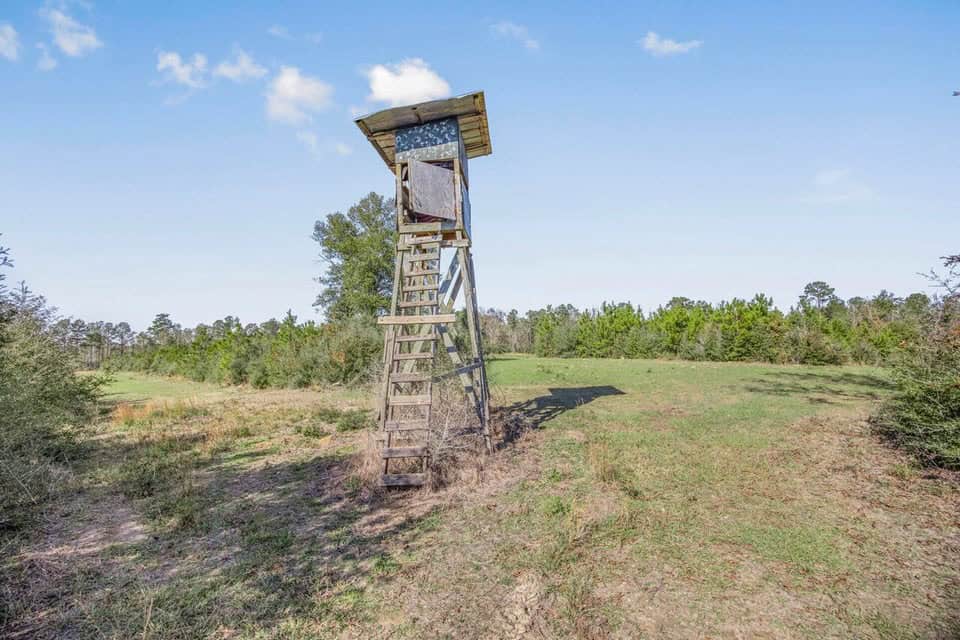 150 Acres For Sale Amite County – Will Divide