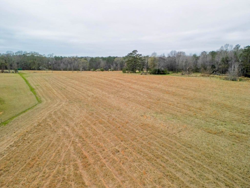 Flora Mississippi 78+- Acres for Sale
