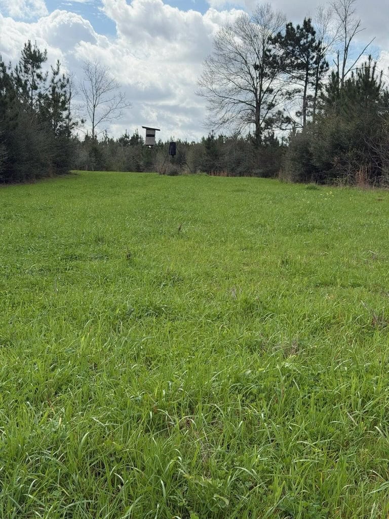 Hunting Land For Sale in Amite County MS