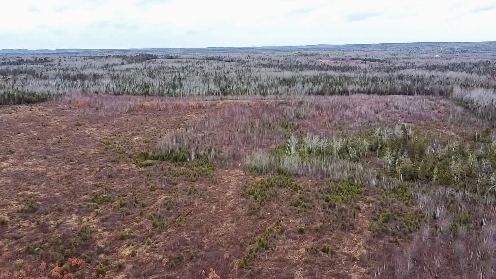 327± Acres with 3500 Feet of Brook Frontage