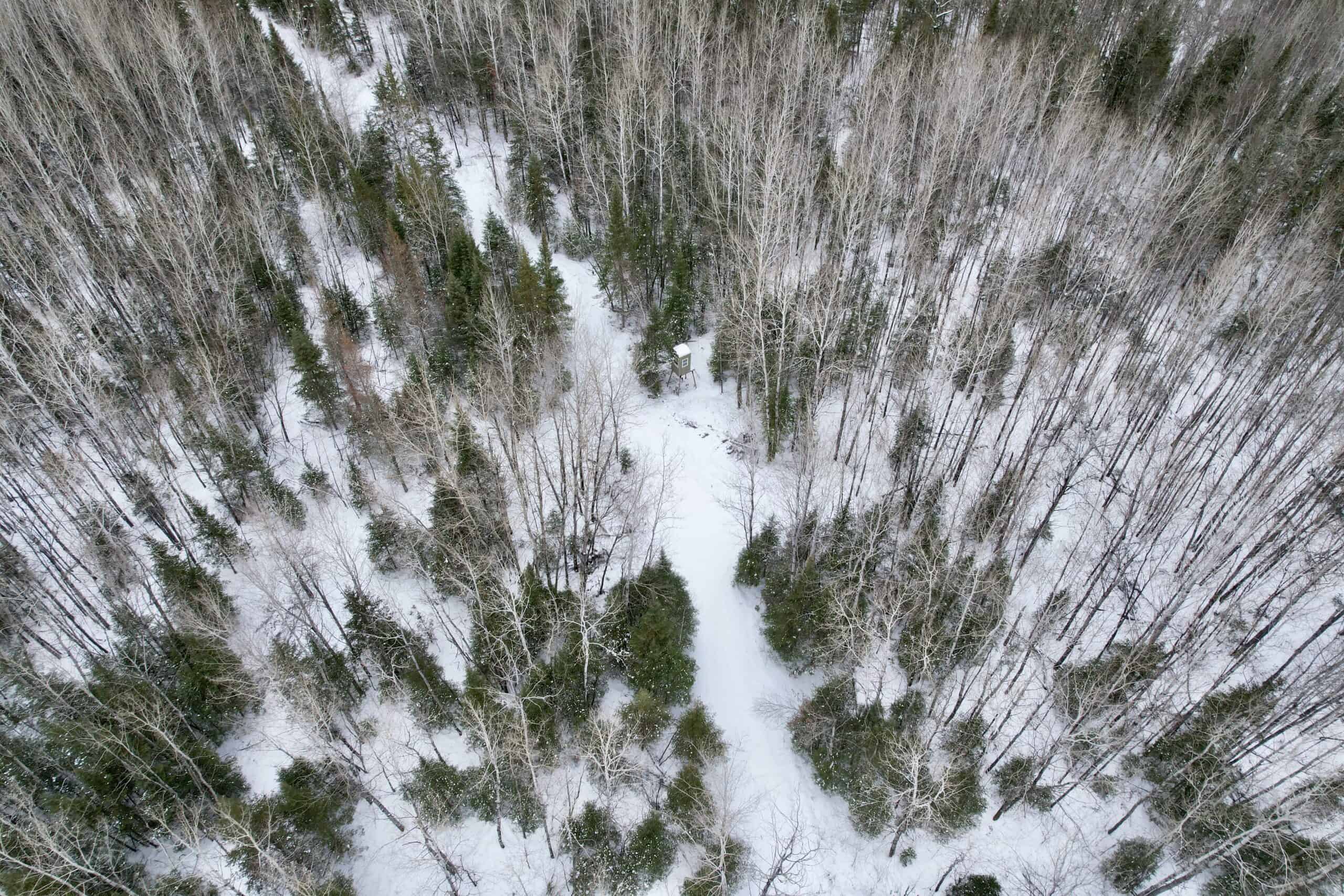 The Side Lake 80 Ac – Hunting & Recreational Property In St. Louis County, MN