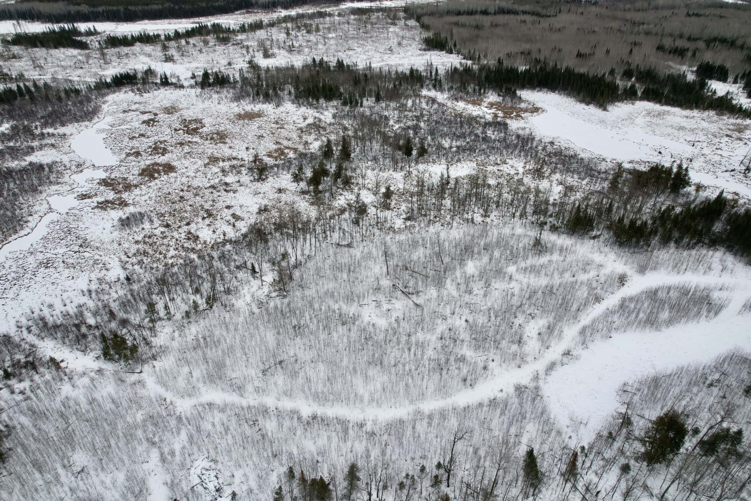 The Side Lake 80 Ac – Hunting & Recreational Property In St. Louis County, MN