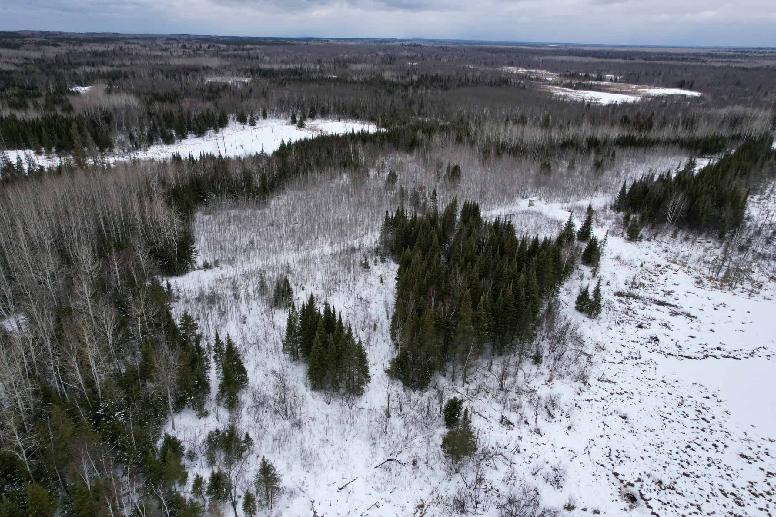 The Side Lake 80 Ac – Hunting & Recreational Property In St. Louis County, MN