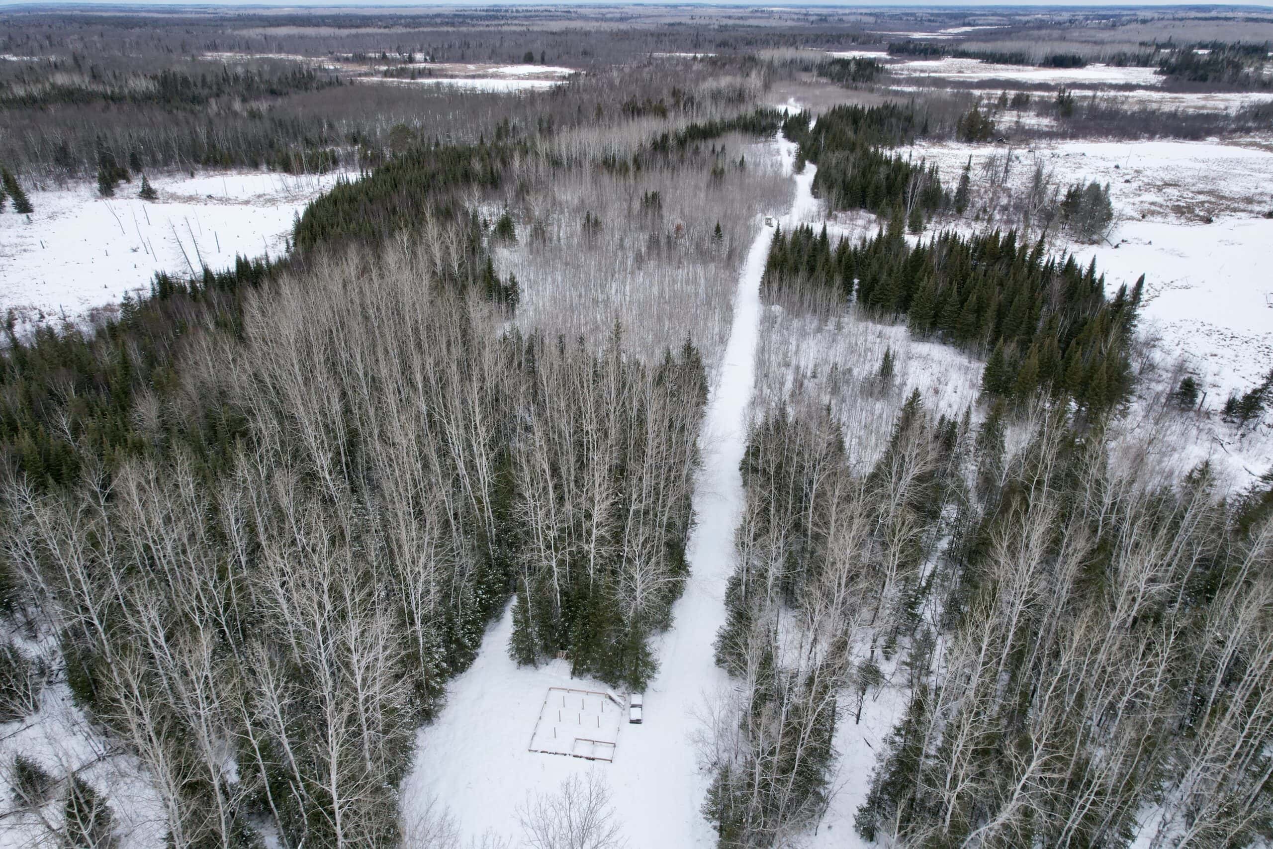 The Side Lake 80 Ac – Hunting & Recreational Property In St. Louis County, MN