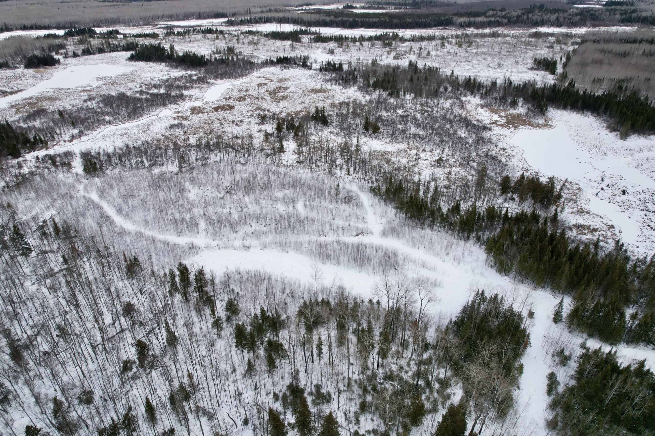 The Side Lake 80 Ac – Hunting & Recreational Property In St. Louis County, MN