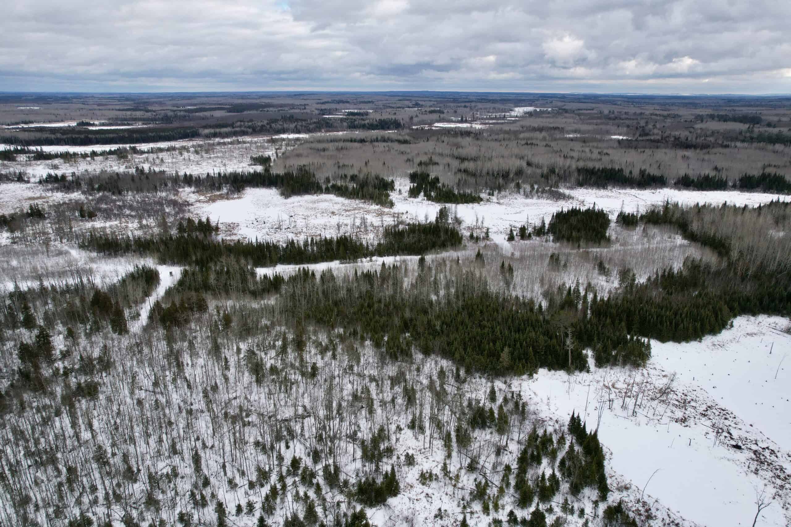 The Side Lake 80 Ac – Hunting & Recreational Property In St. Louis County, MN