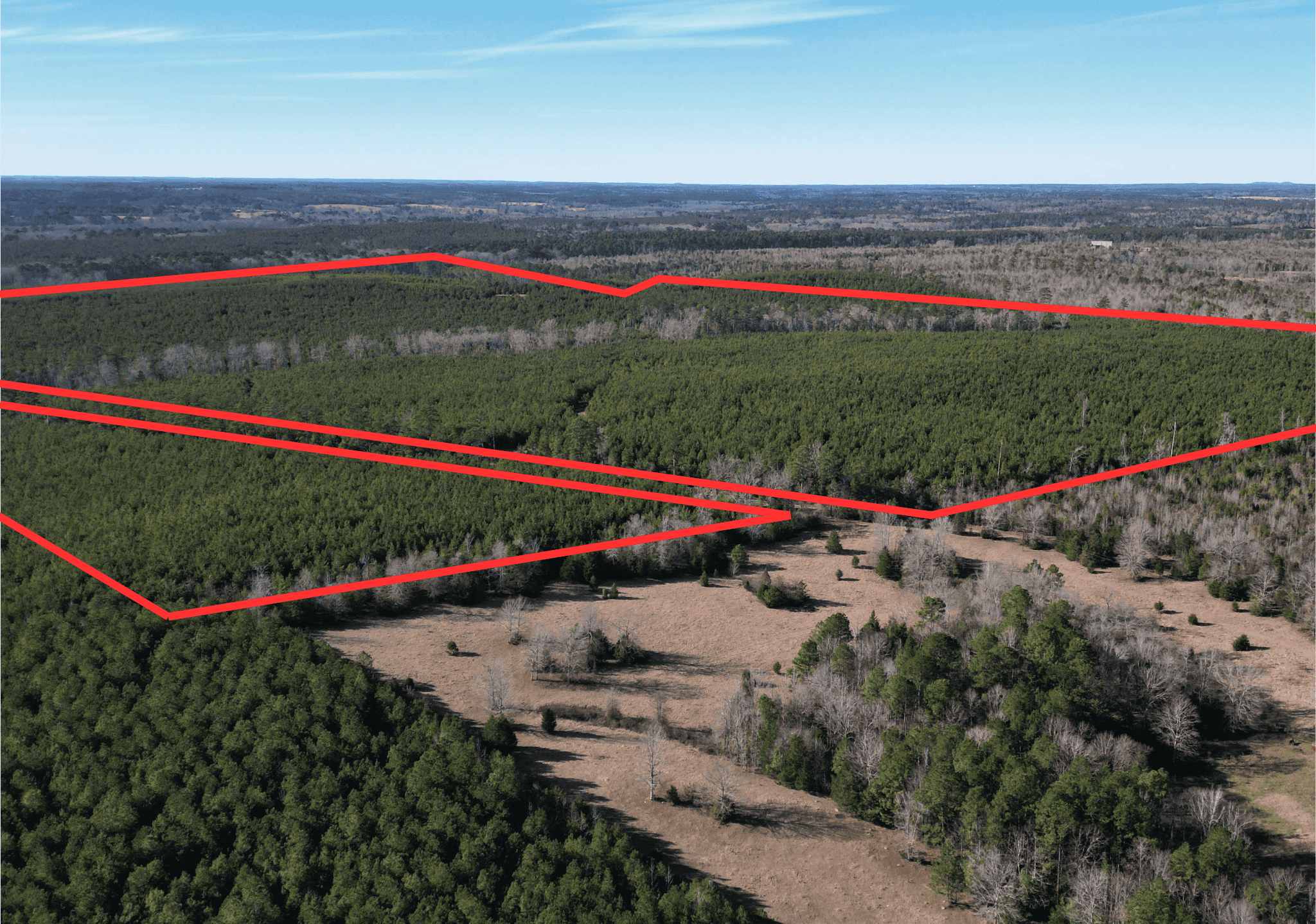 247.5 Acres of Timberland in Kildare, TX