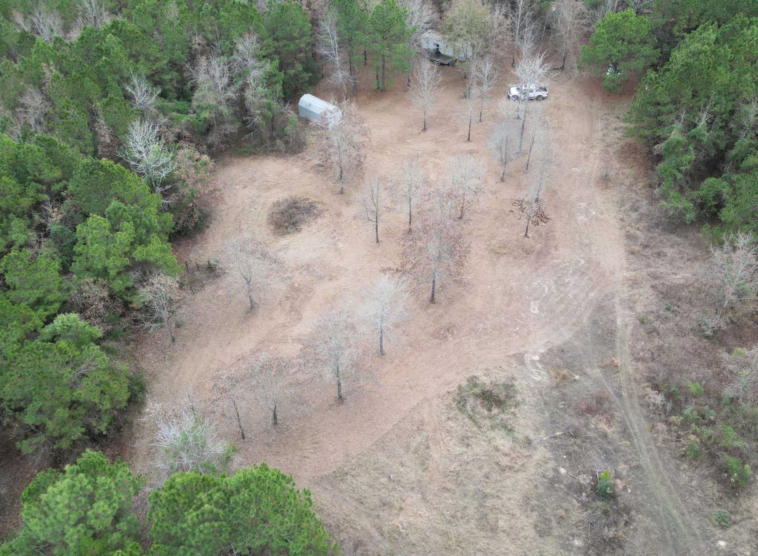 Secluded Recreational Paradise – ±37.19 Acres of Pine Timber