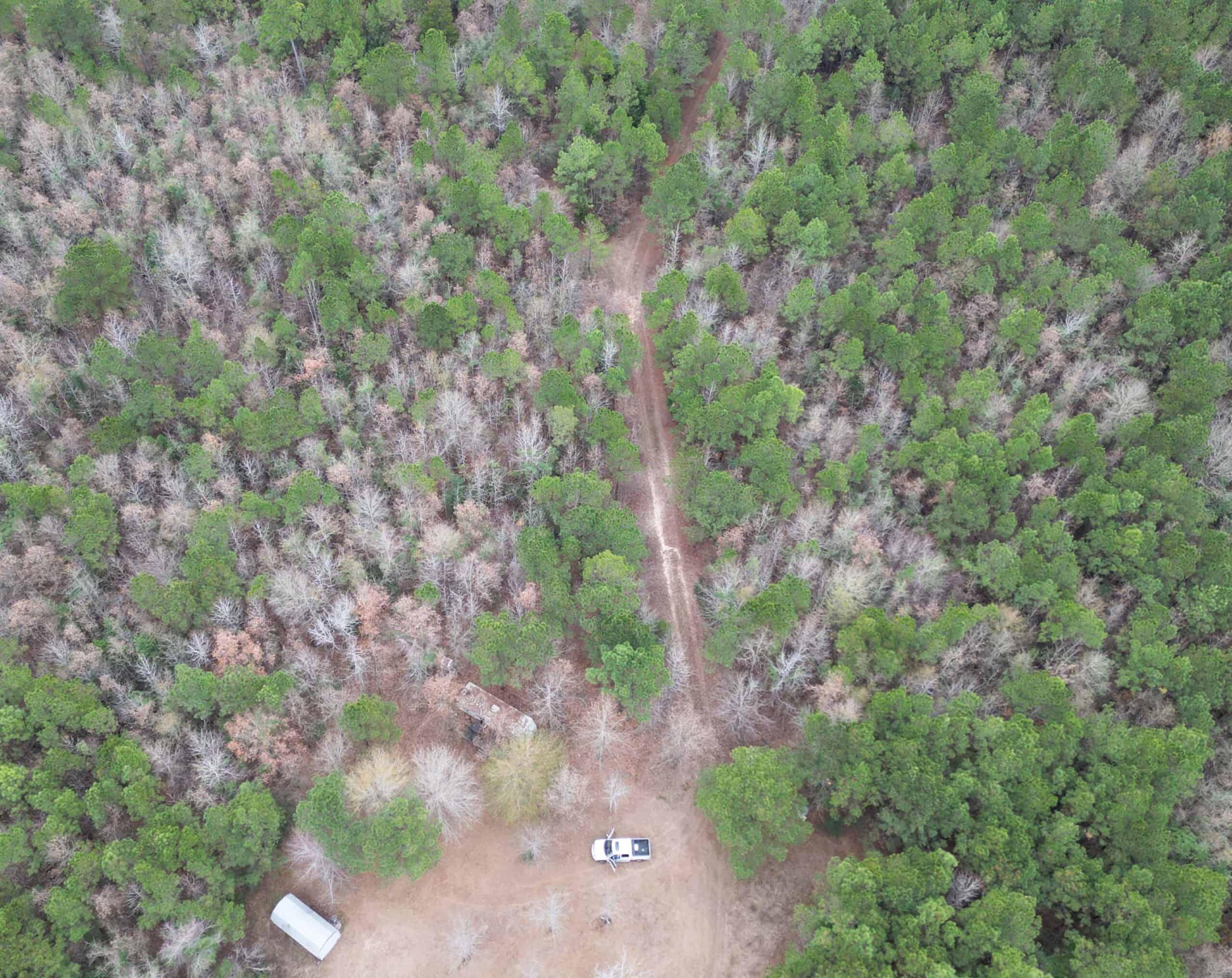 Secluded Recreational Paradise – ±37.19 Acres of Pine Timber