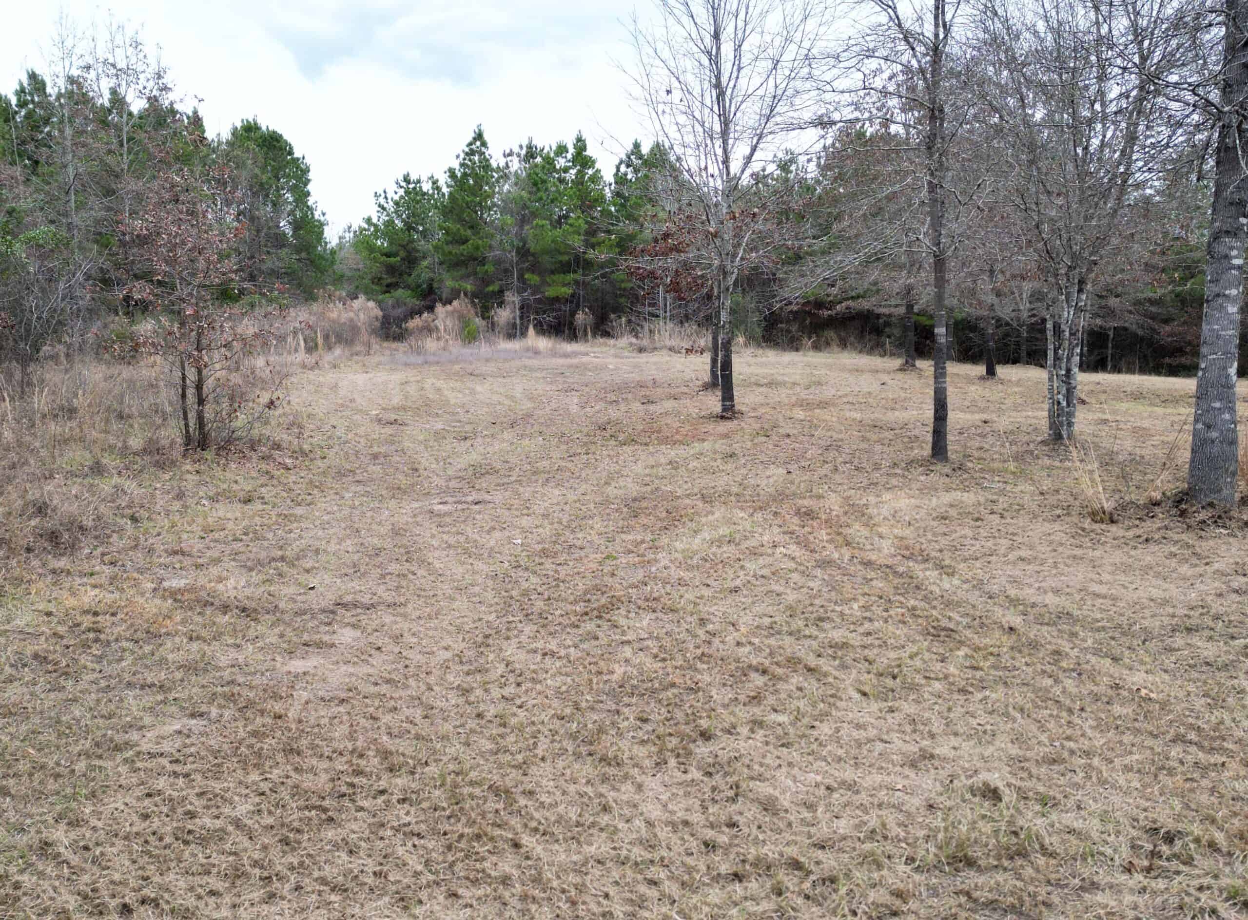 Secluded Recreational Paradise – ±37.19 Acres of Pine Timber