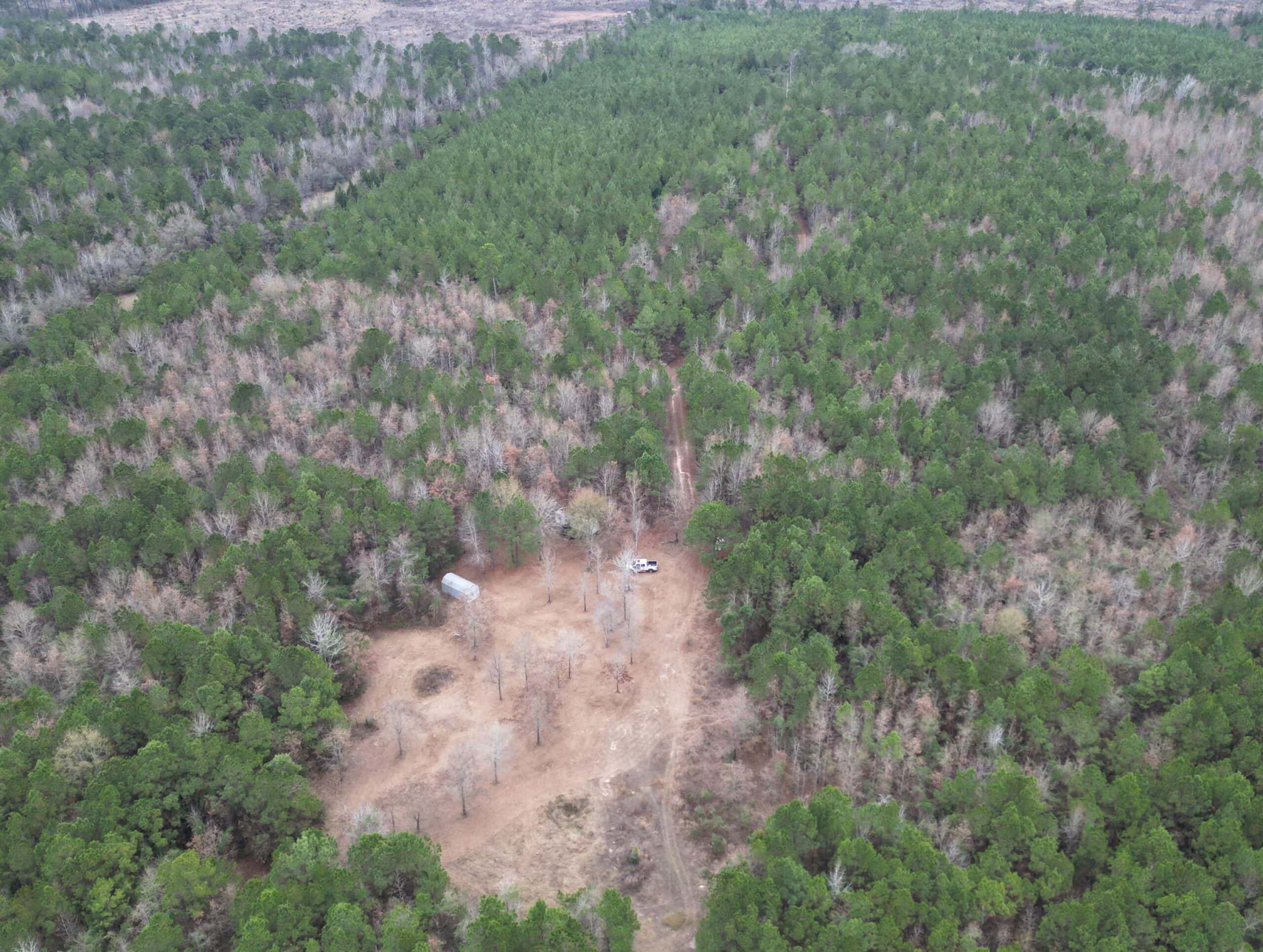 Secluded Recreational Paradise – ±37.19 Acres of Pine Timber