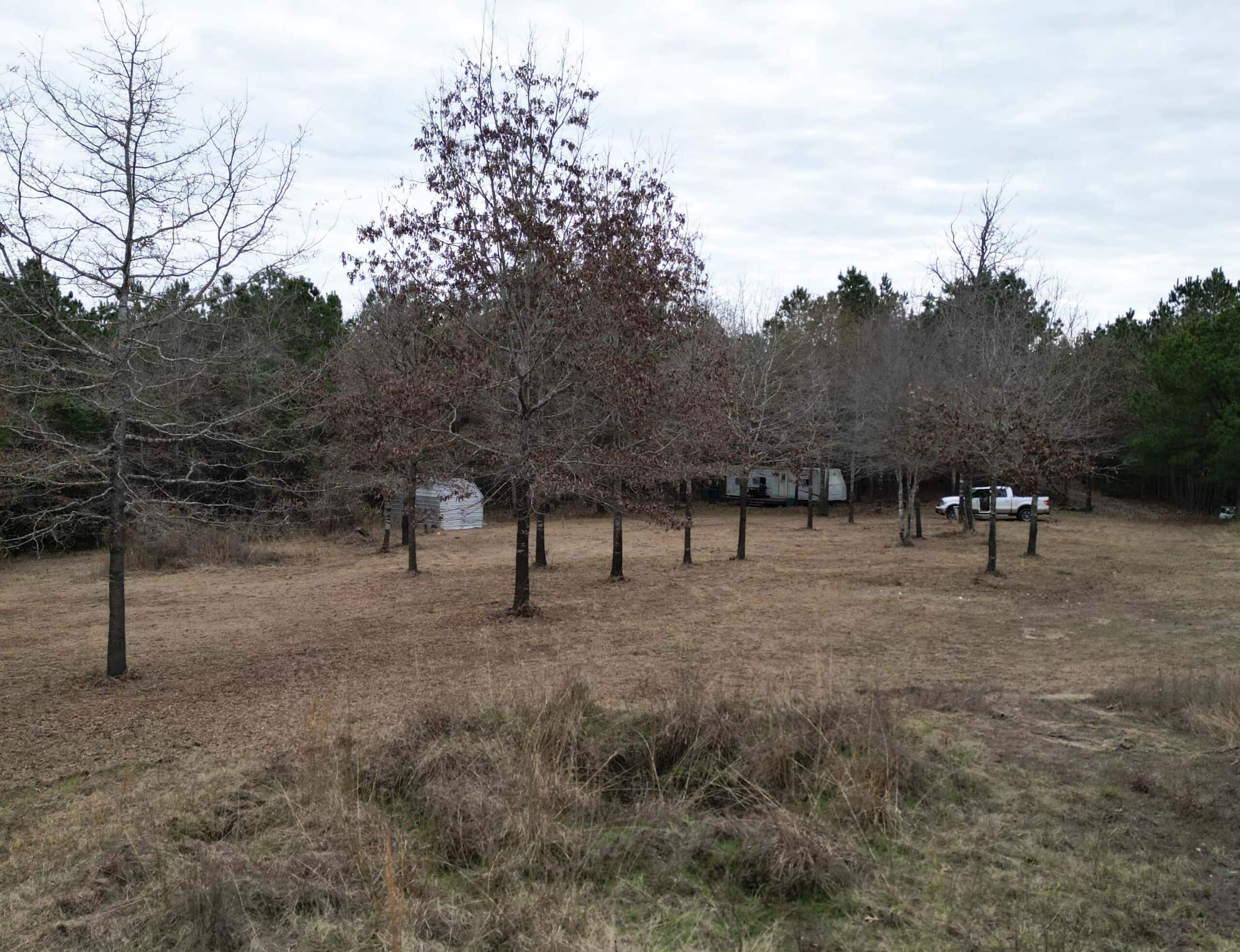 Secluded Recreational Paradise – ±37.19 Acres of Pine Timber