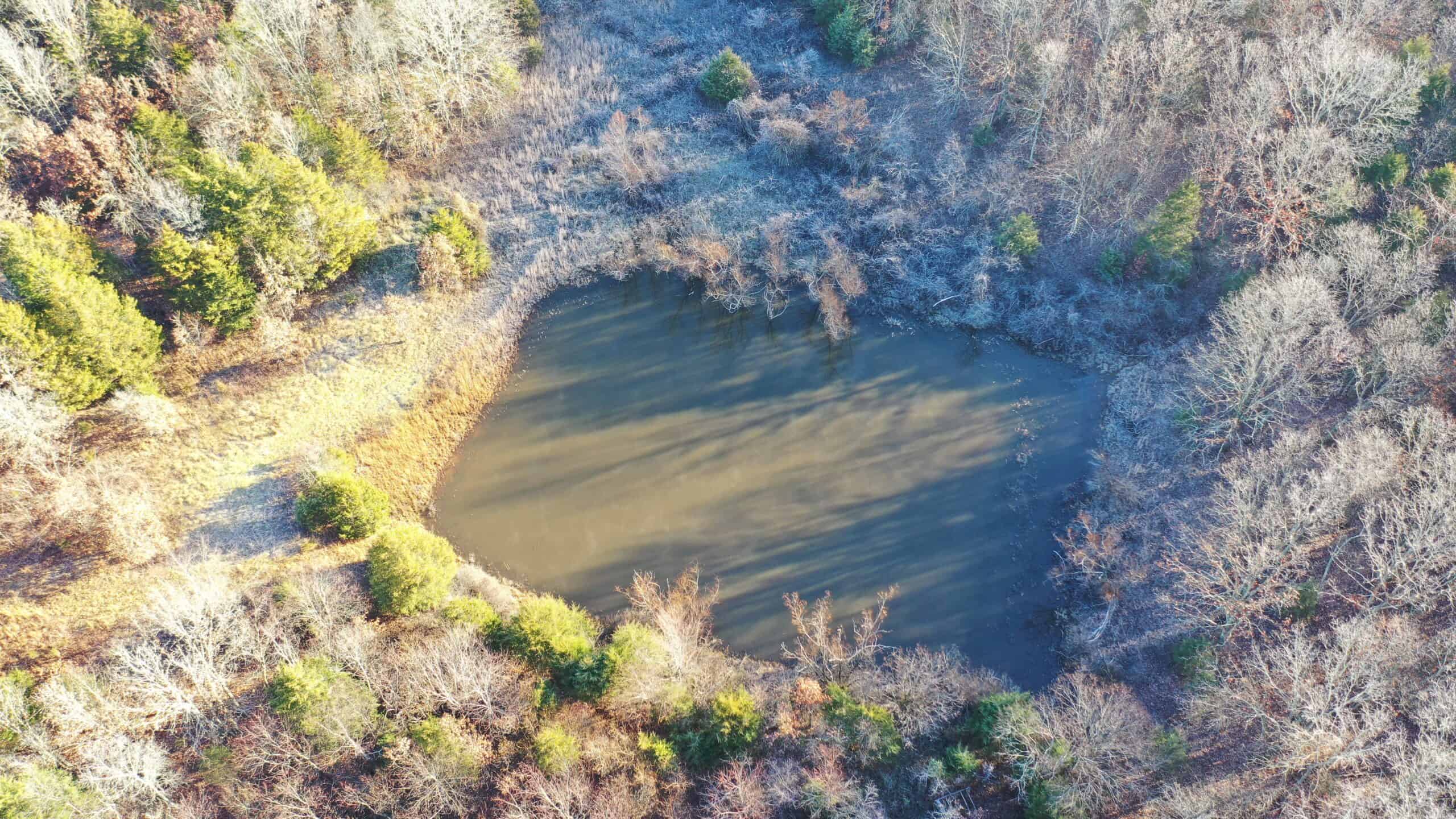 160.4 ± Acres for Sale in Salem, Missouri