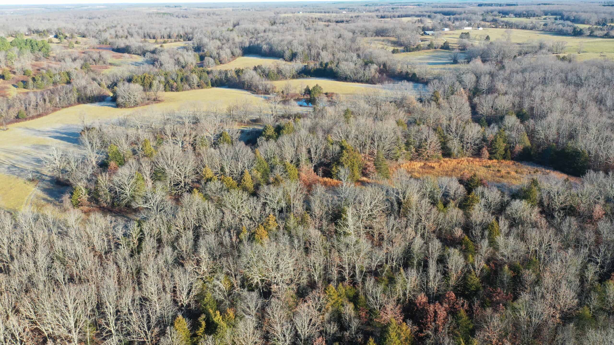 160.4 ± Acres for Sale in Salem, Missouri