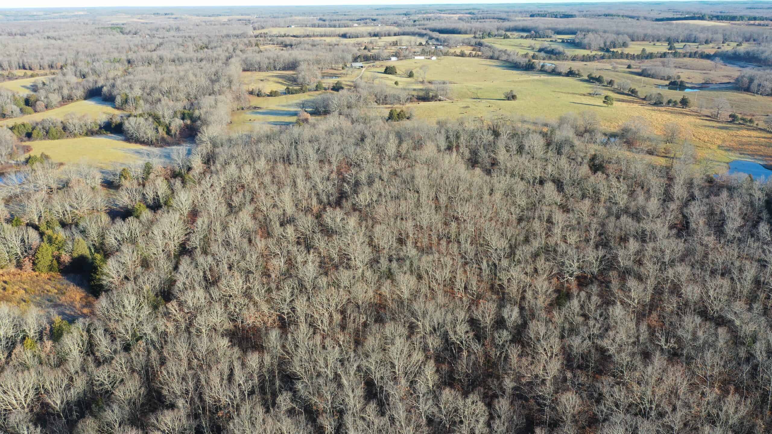 160.4 ± Acres for Sale in Salem, Missouri