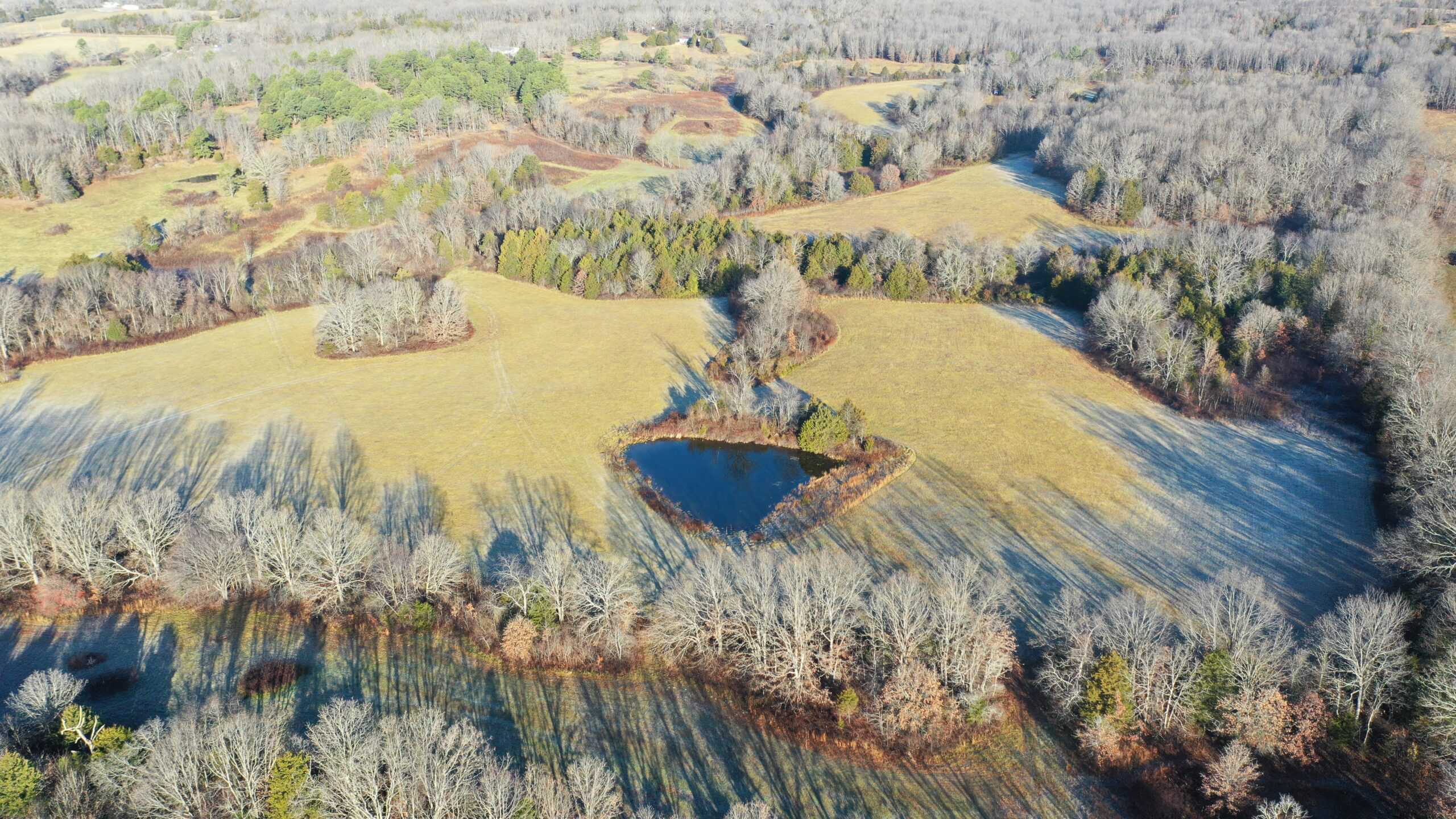 160.4 ± Acres for Sale in Salem, Missouri