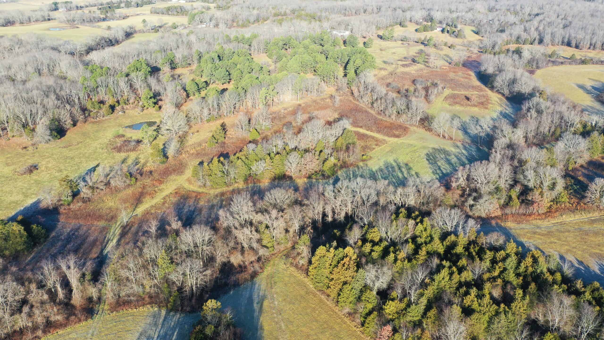 160.4 ± Acres for Sale in Salem, Missouri