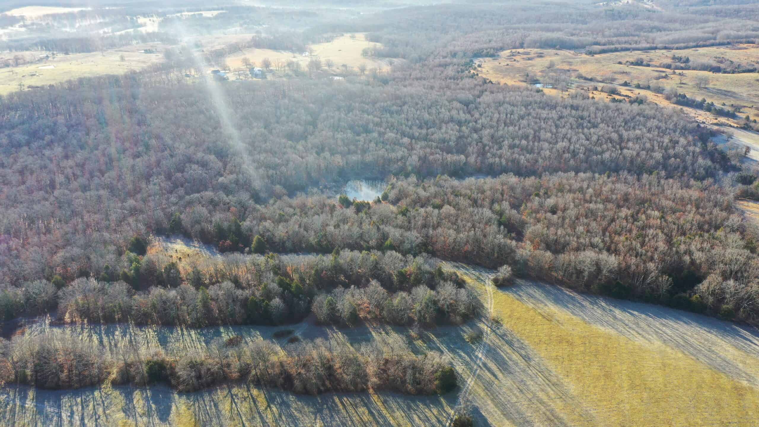 160.4 ± Acres for Sale in Salem, Missouri