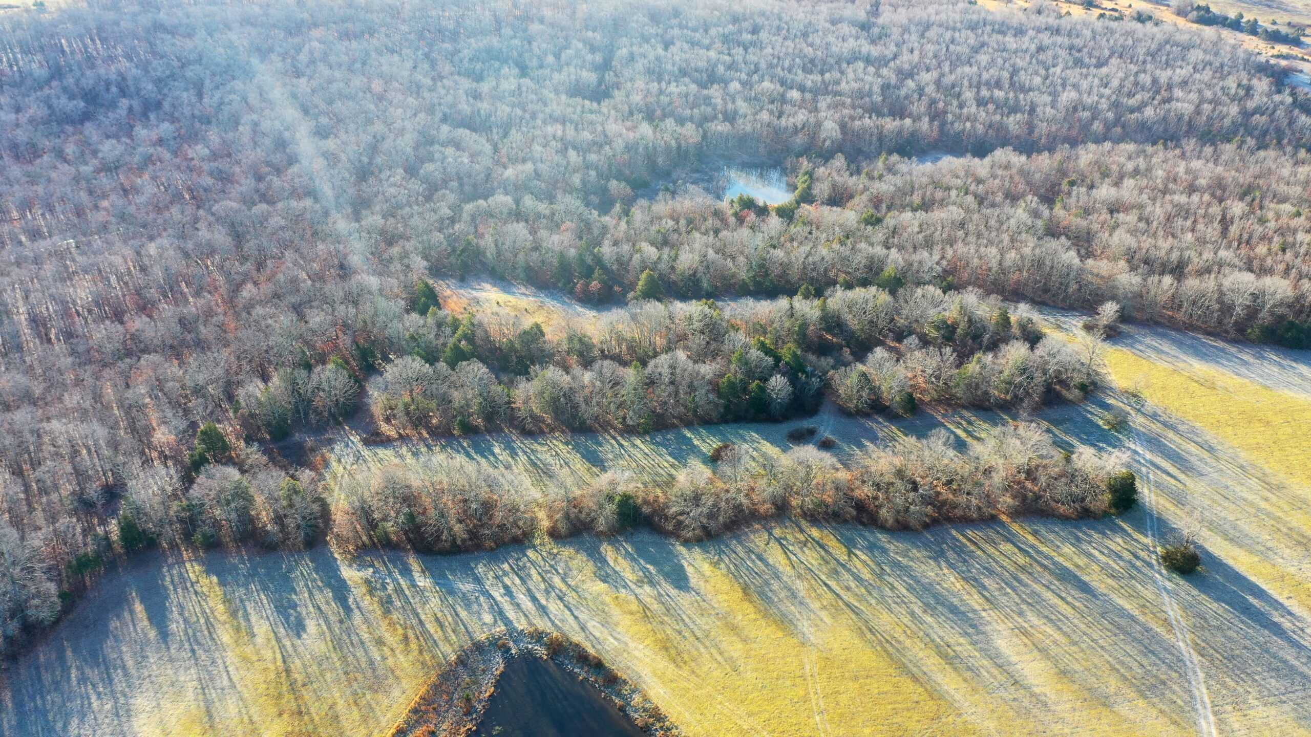 160.4 ± Acres for Sale in Salem, Missouri