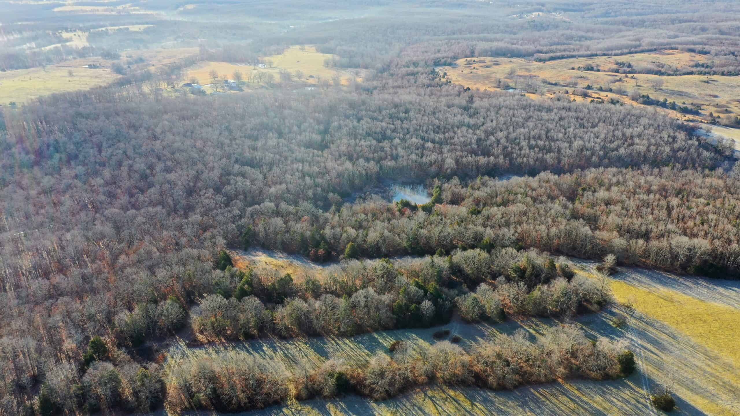 160.4 ± Acres for Sale in Salem, Missouri