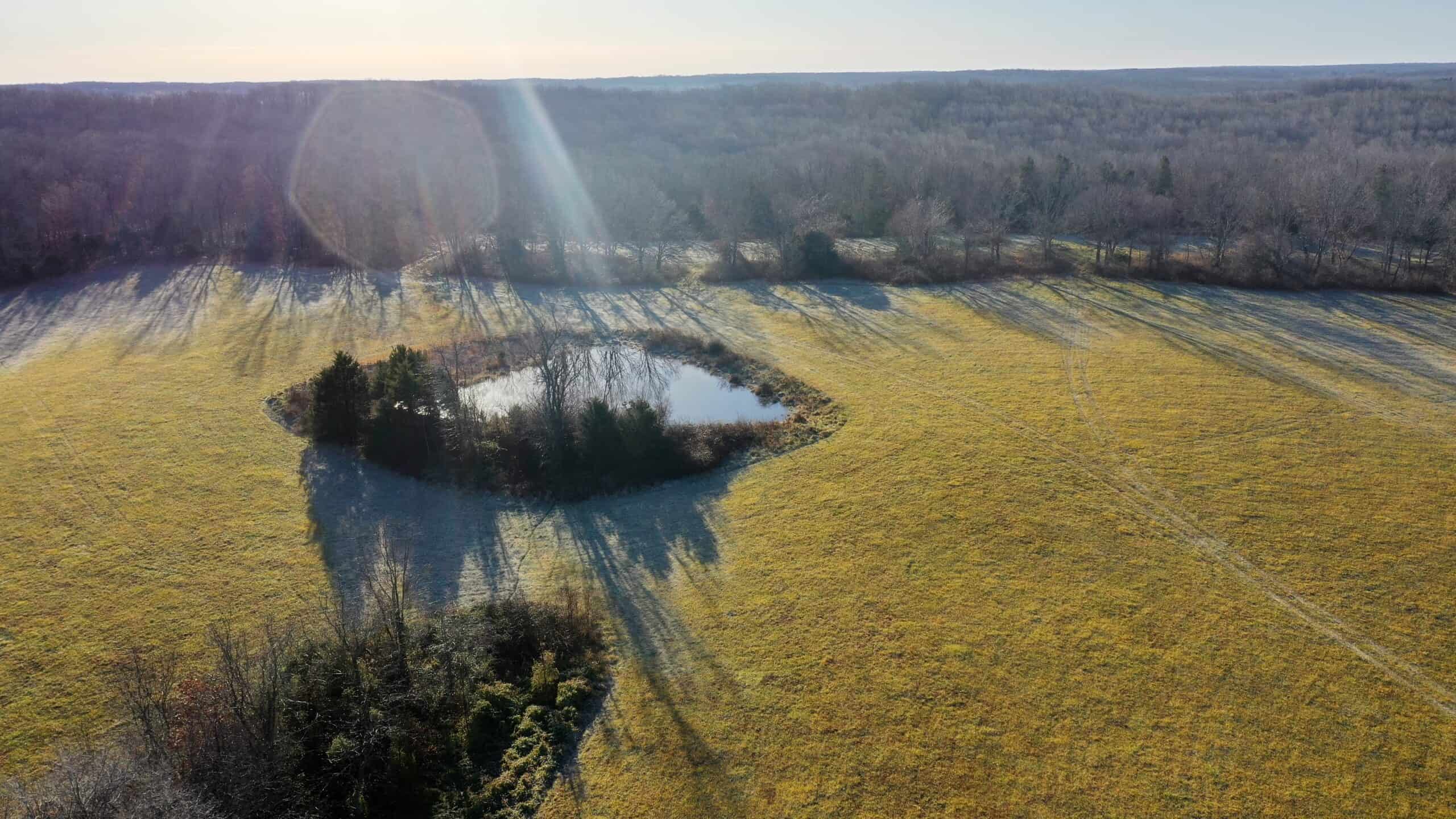 160.4 ± Acres for Sale in Salem, Missouri