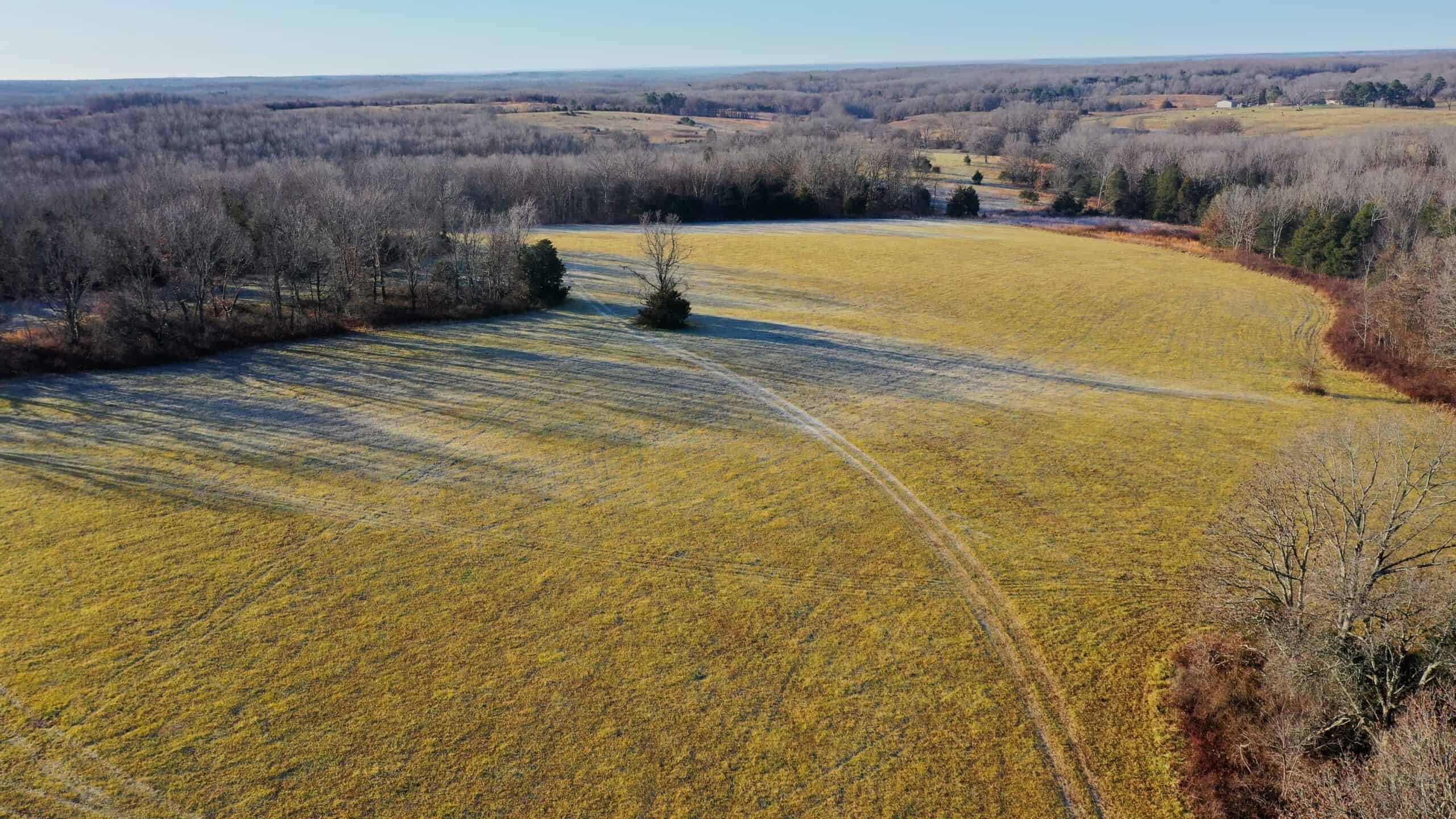 160.4 ± Acres for Sale in Salem, Missouri