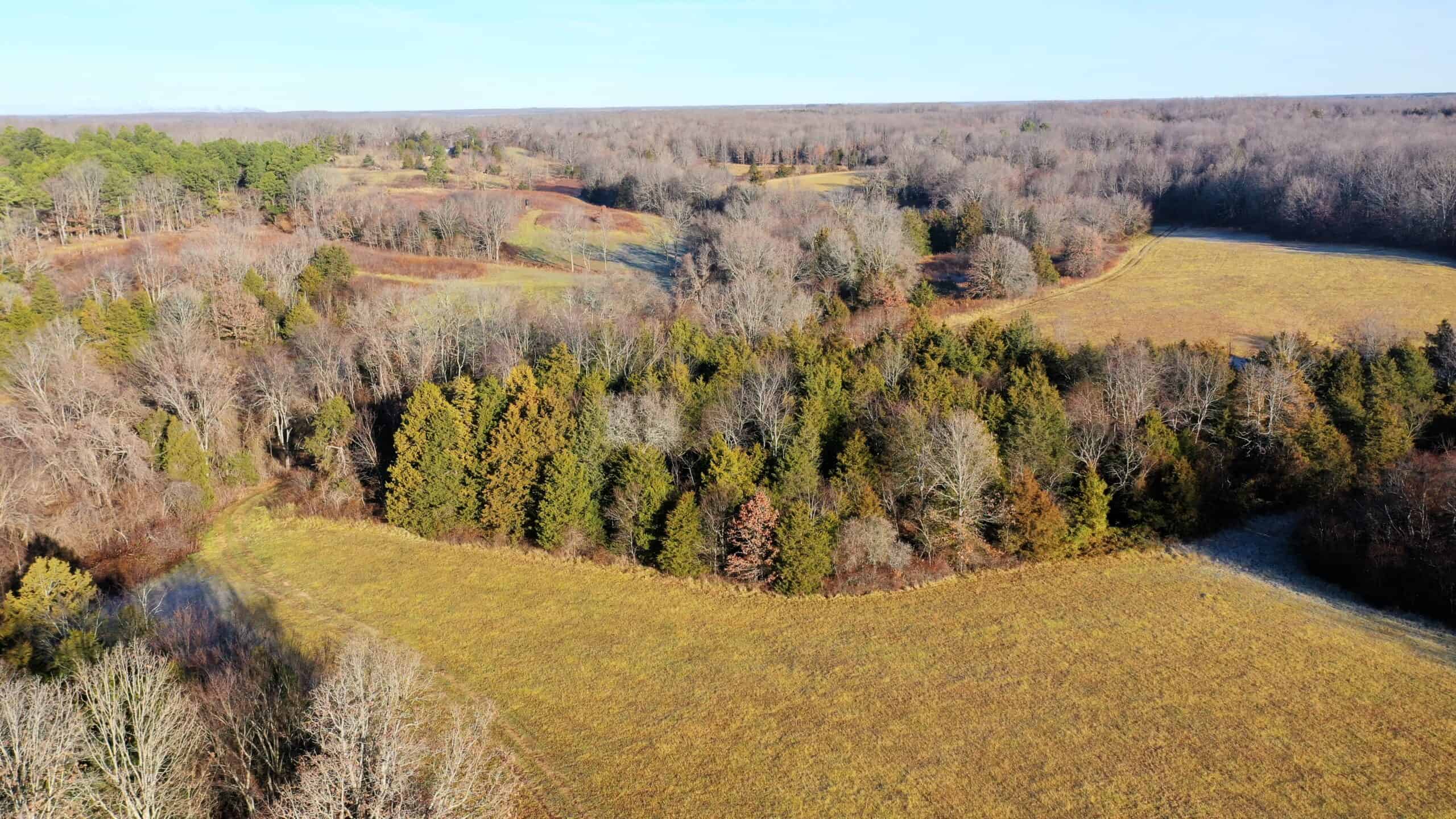 160.4 ± Acres for Sale in Salem, Missouri
