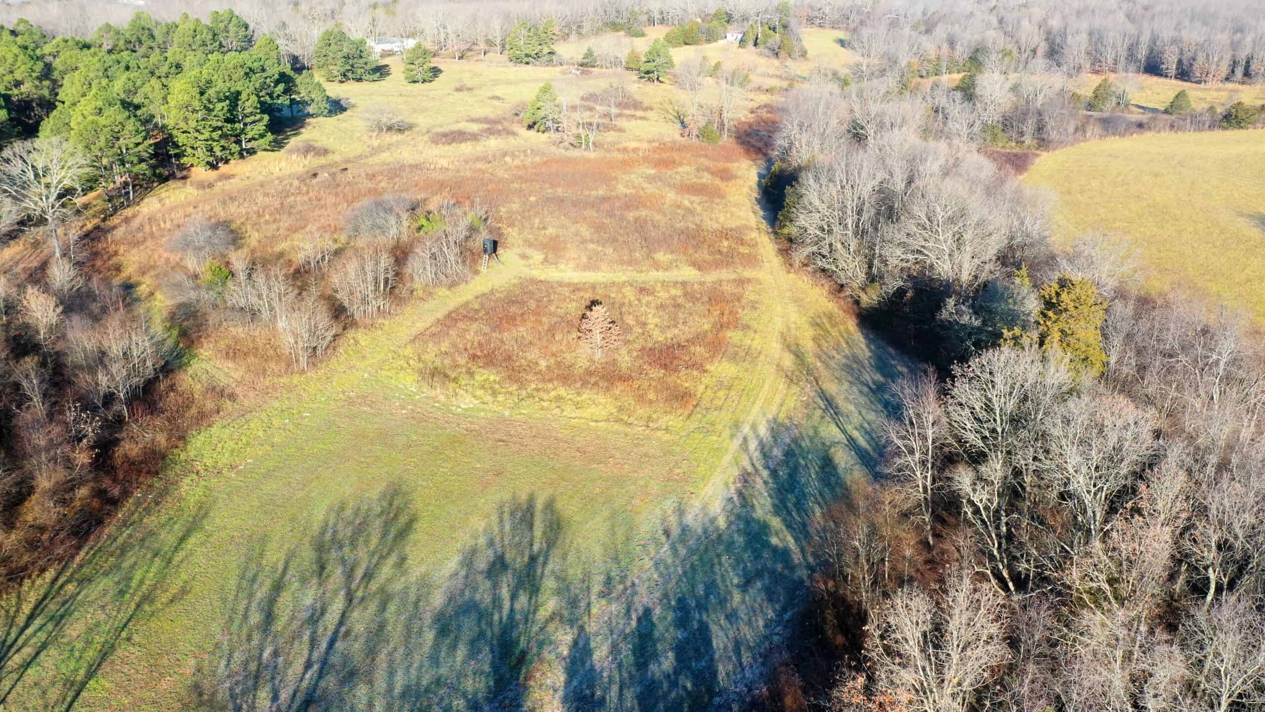 160.4 ± Acres for Sale in Salem, Missouri