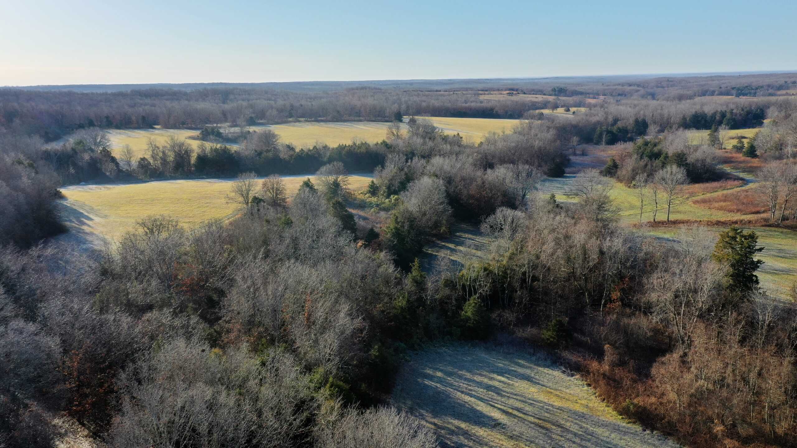 160.4 ± Acres for Sale in Salem, Missouri