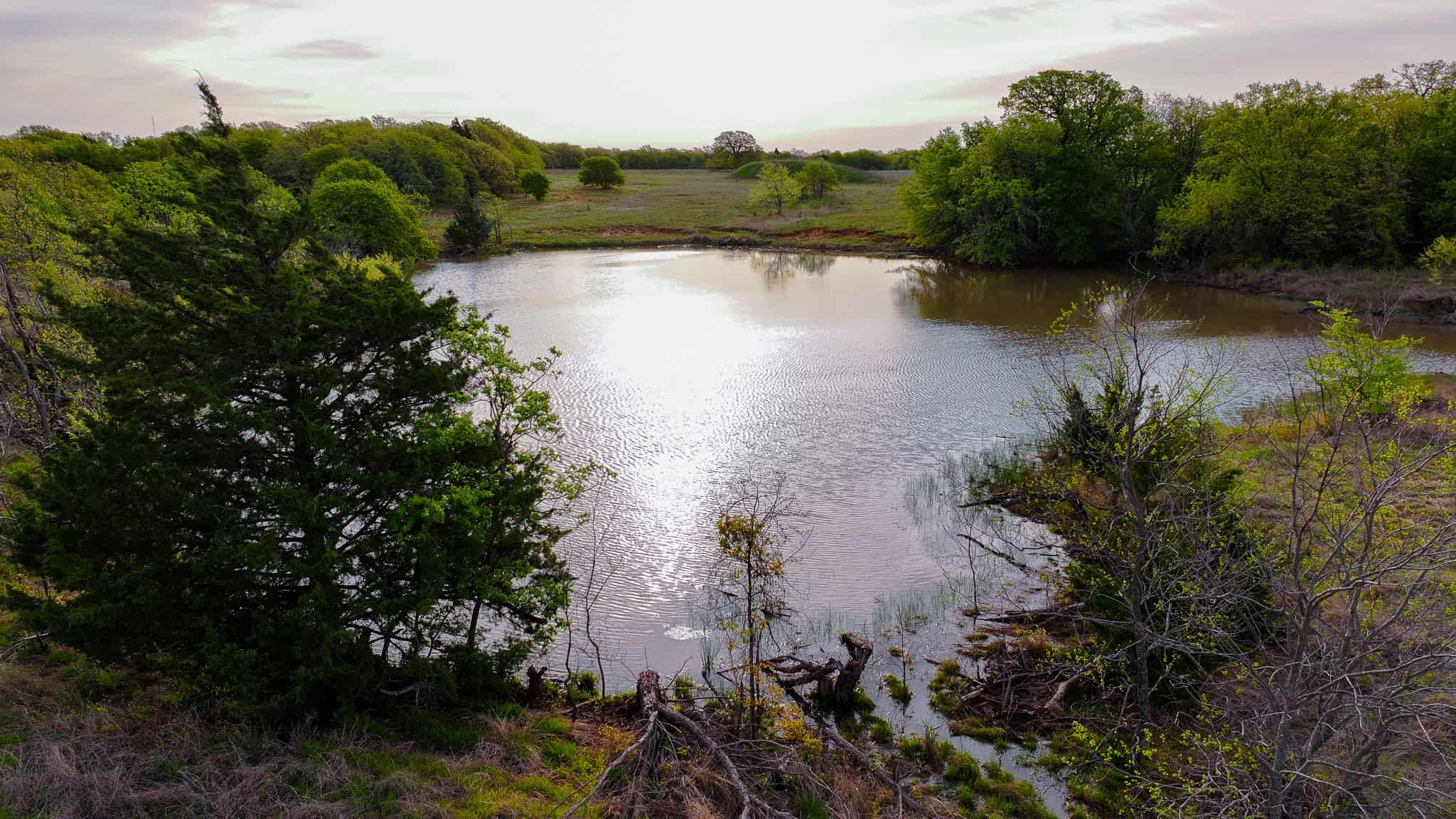 485 acre Hunting Ranch in Montague County Texas