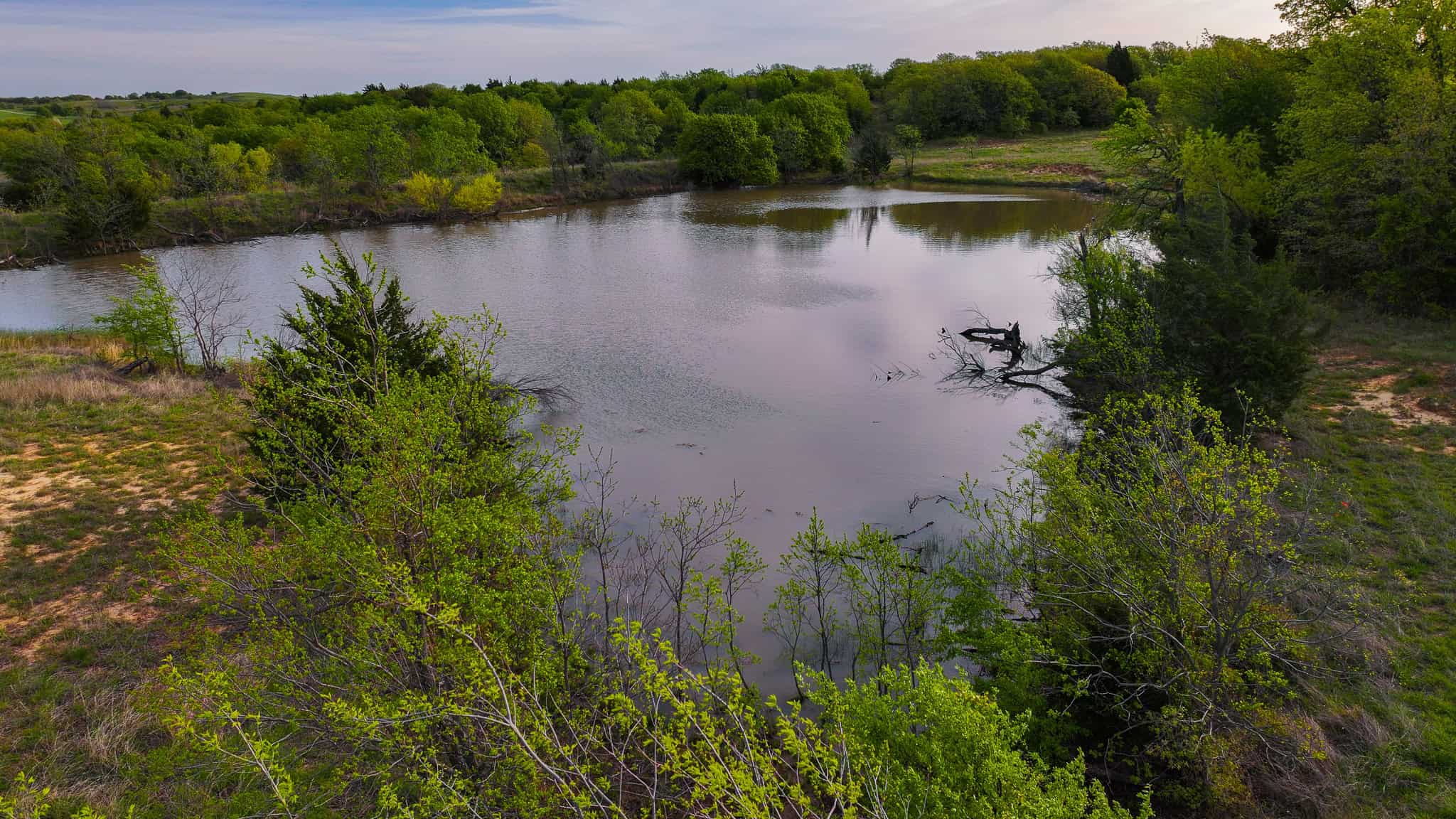485 acre Hunting Ranch in Montague County Texas