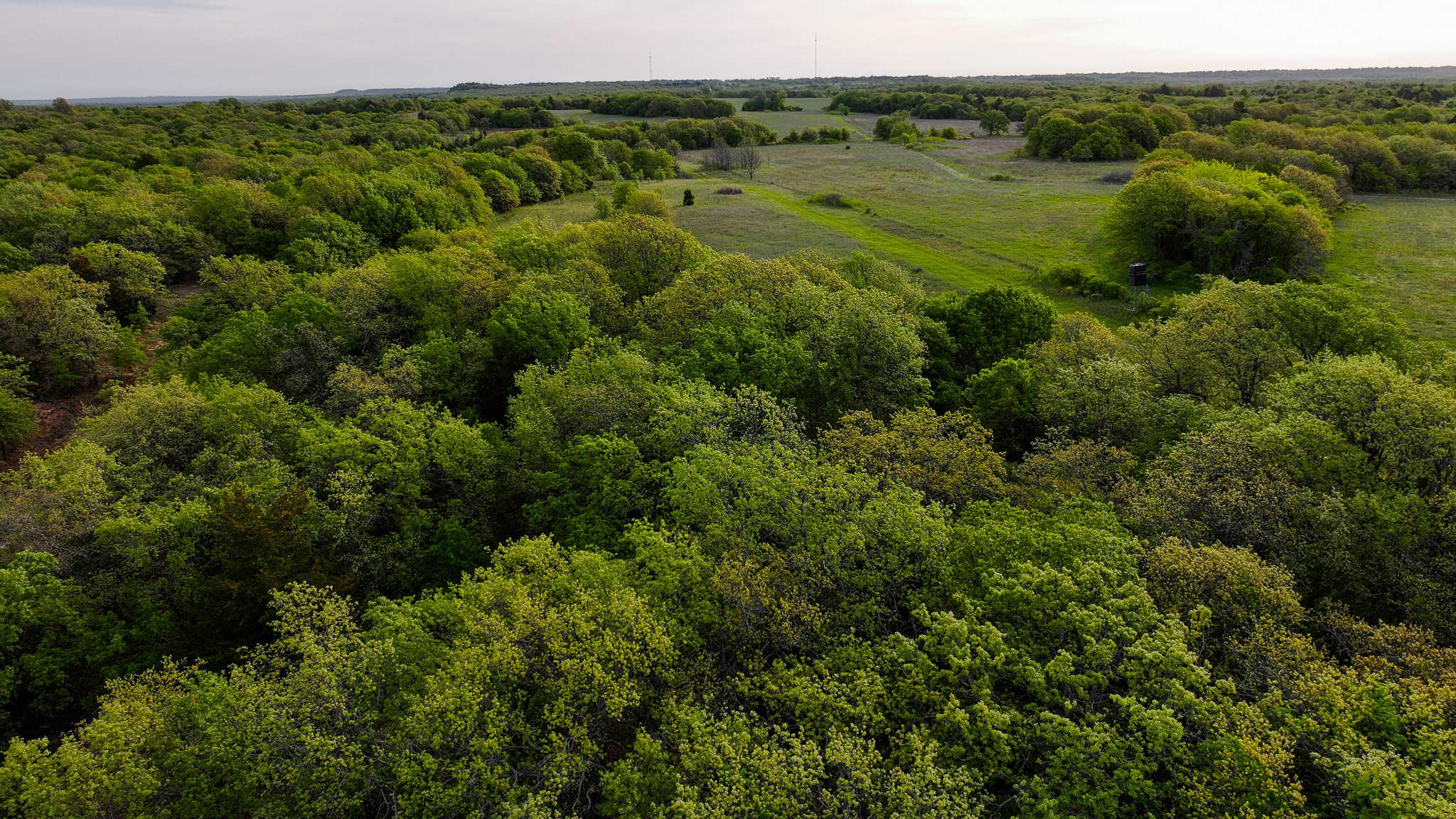 485 acre Hunting Ranch in Montague County Texas