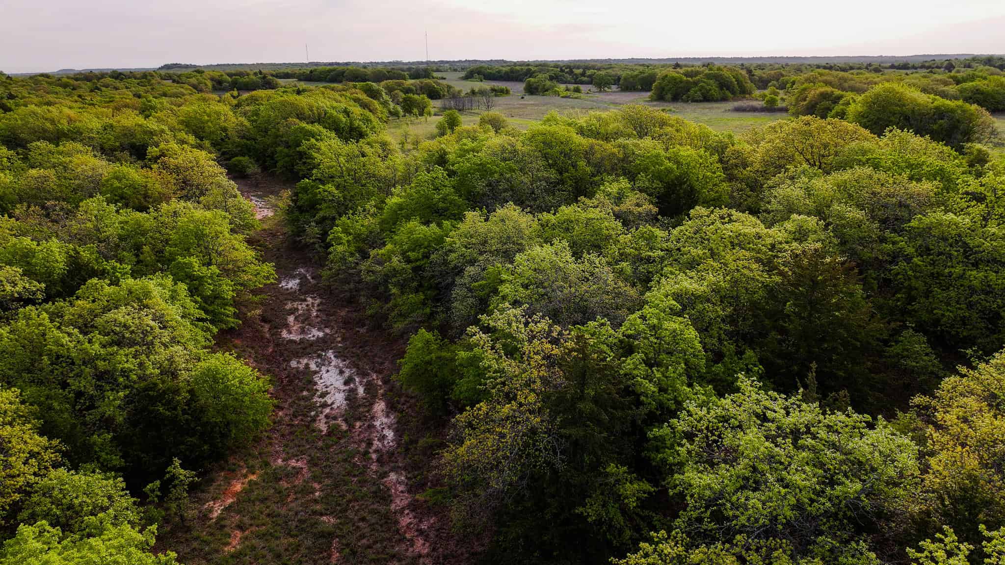 485 acre Hunting Ranch in Montague County Texas