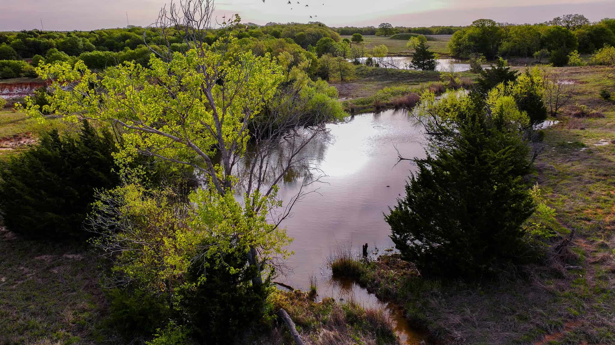 485 acre Hunting Ranch in Montague County Texas