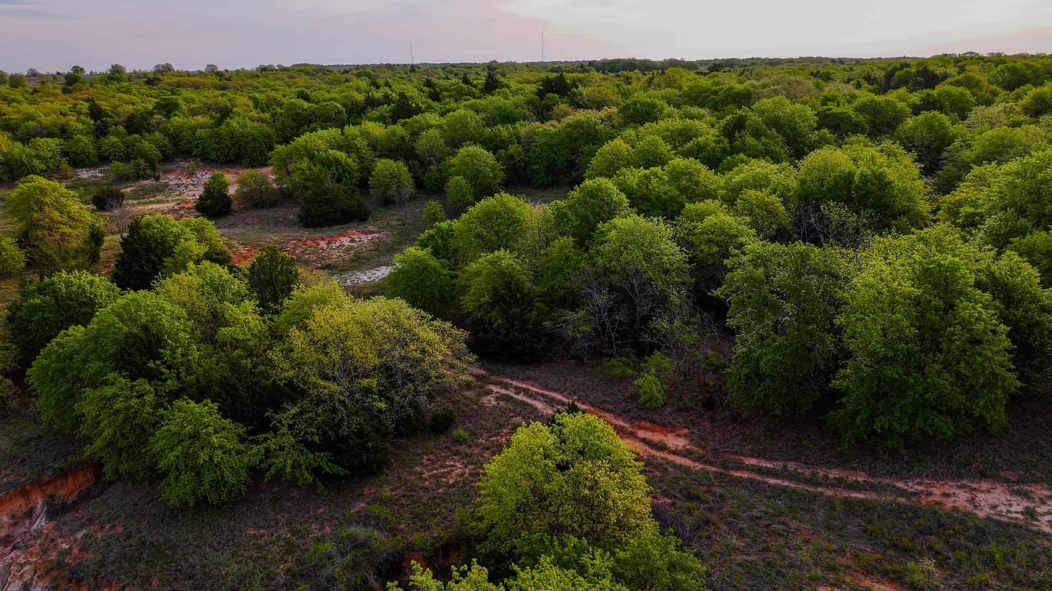 485 acre Hunting Ranch in Montague County Texas