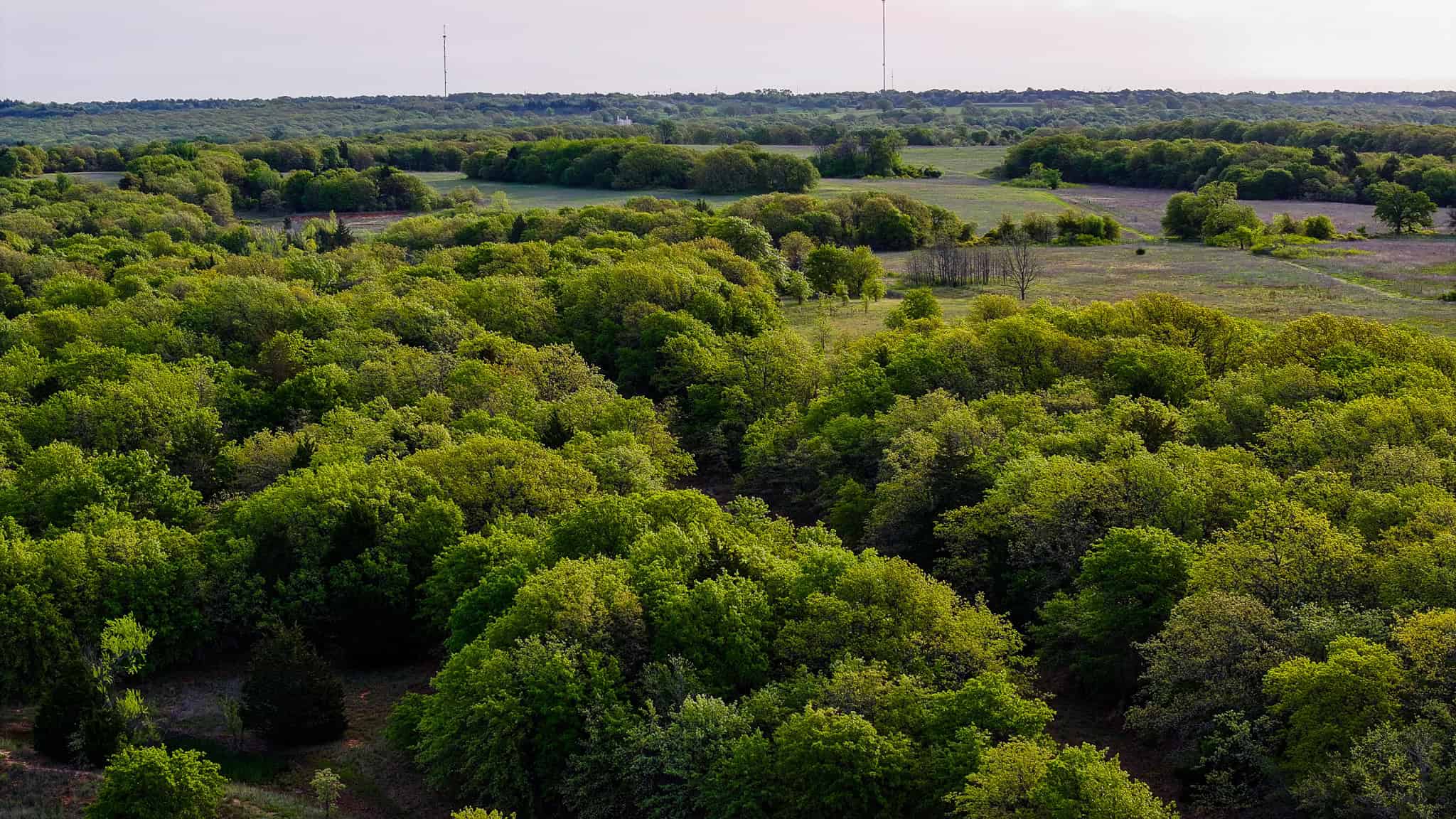 485 acre Hunting Ranch in Montague County Texas