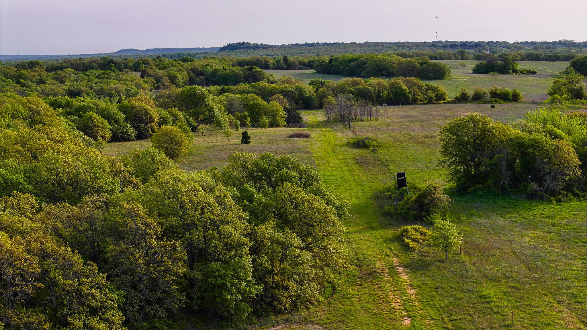 485 acre Hunting Ranch in Montague County Texas